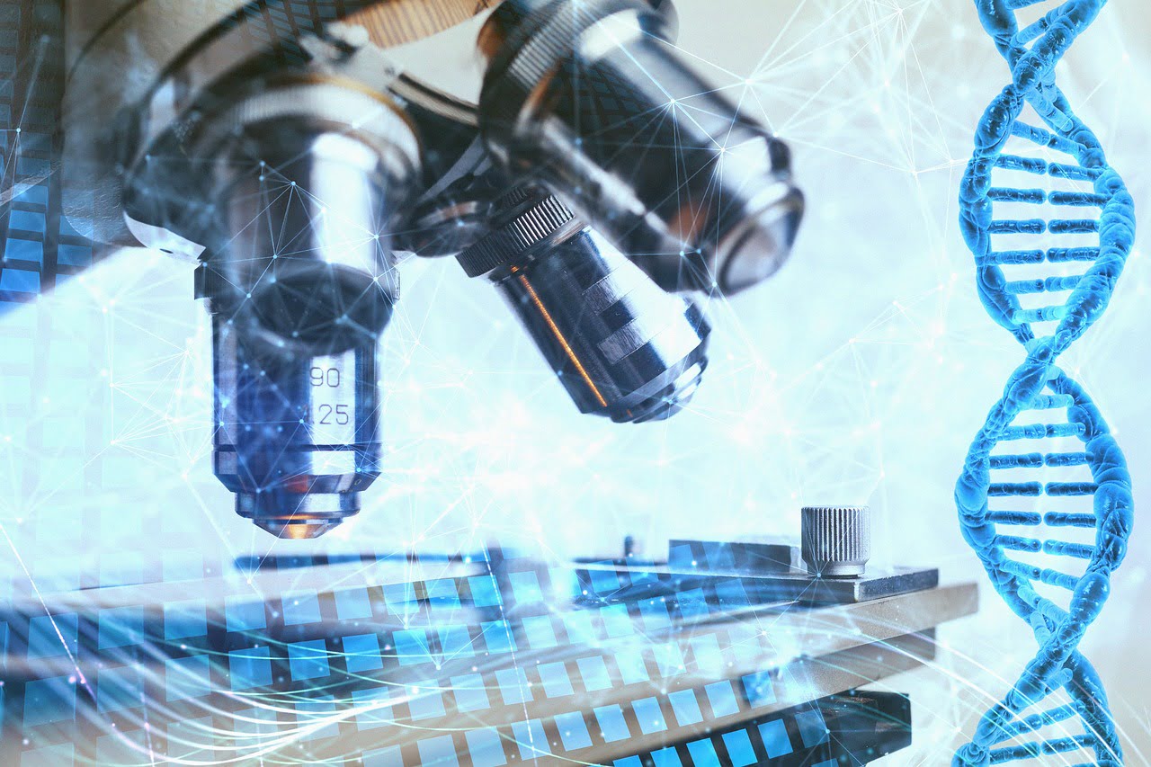 سعر تحليل DNA لإثبات النسب في جميع معامل مصر 2023