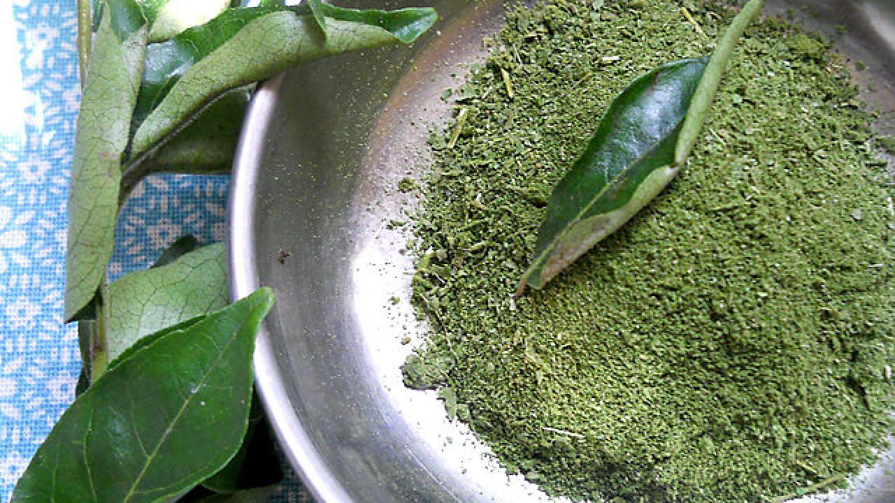 سعر كيلو السدر المطحون في مصر وأماكن البيع 2024